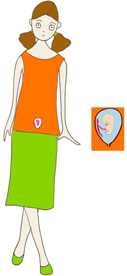 Bébé à 2 mois de grossesse dans votre ventre