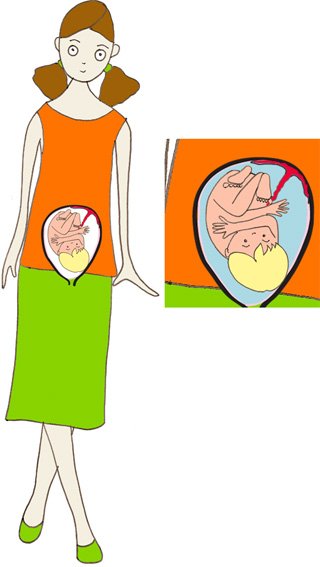Après 9 mois bébé prend toute la place dans le ventre de maman