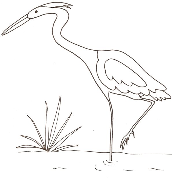 coloriage d'un heron
