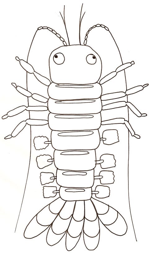 Coloriage d'un homard