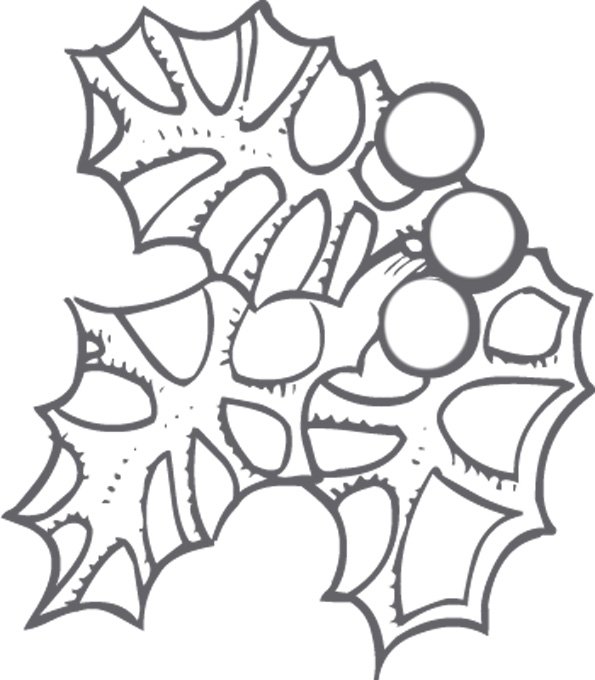 coloriage du houx de No&euml;l 
