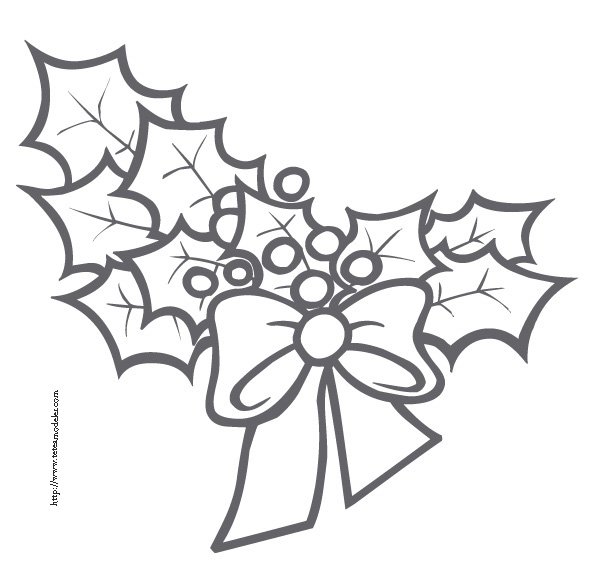 coloriage d'un bouquet de houx 
