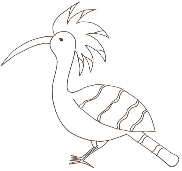 coloriage d'une huppe 
