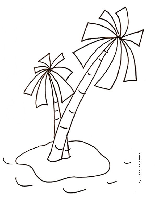 coloriage de deux palmiers
