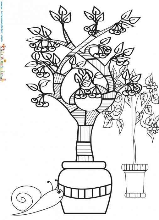 Coloriage d'arbres de jardin en pot de terre