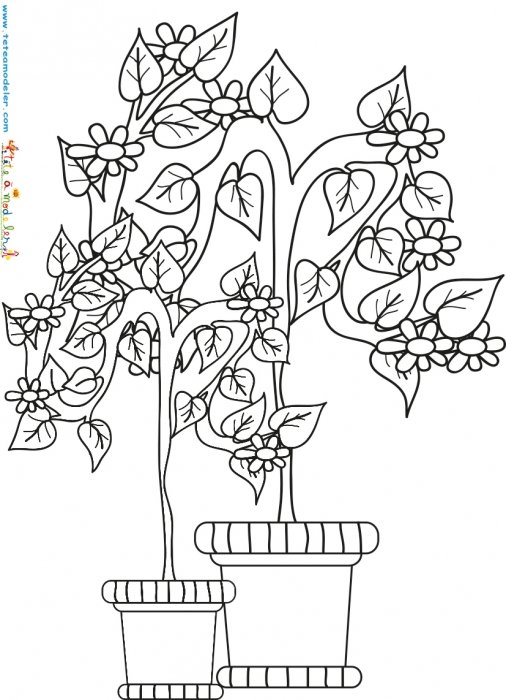 Arbuste de jardin en pot à colorier