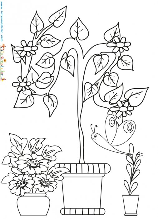 Pots dans un jardin à colorier