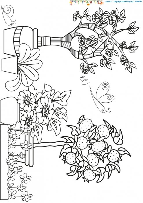 Jardin à l'arbre graphique