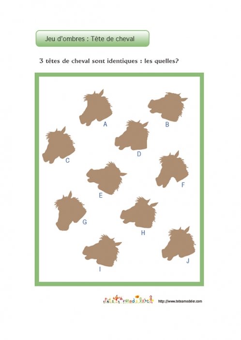 Jeu d'ombres : Tête de cheval