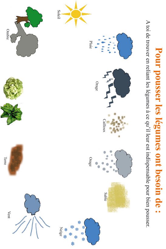 besoins des l&eacute;gumes fiche d'activit&eacute;
