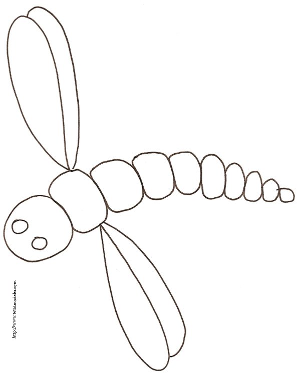 coloriage simple d'une libellule
