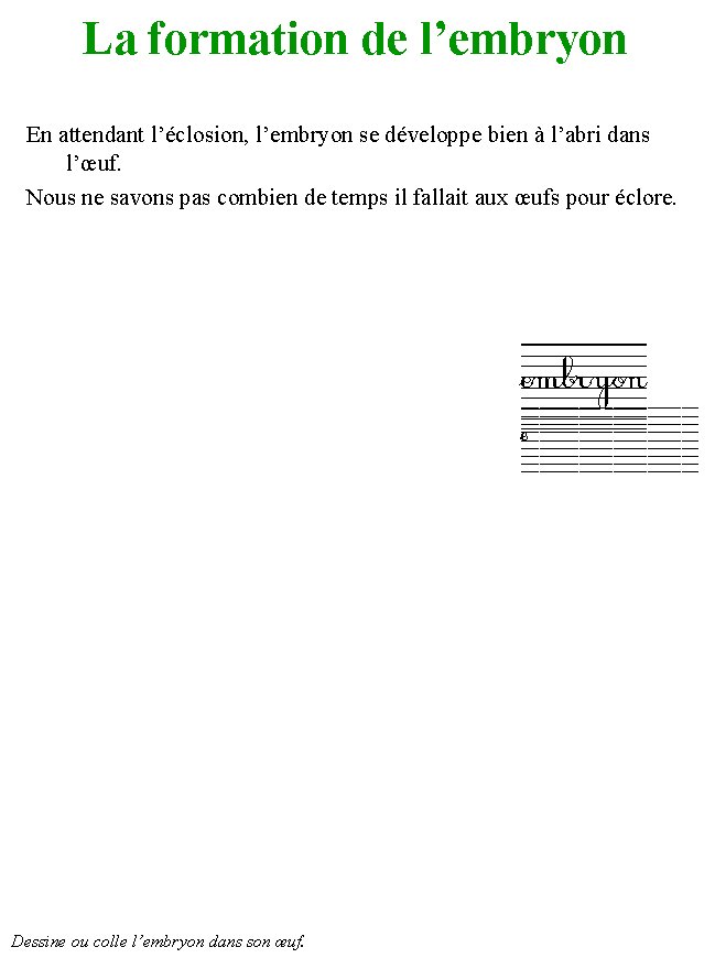 livre sur les dinosaures 5

