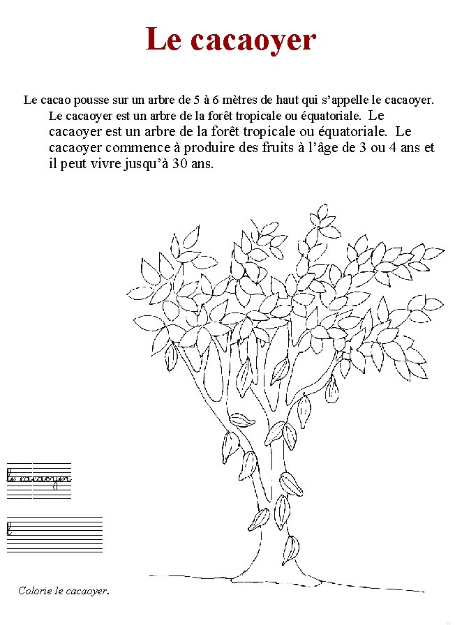 Imprimer cacaoyer du livre sur le cacao
