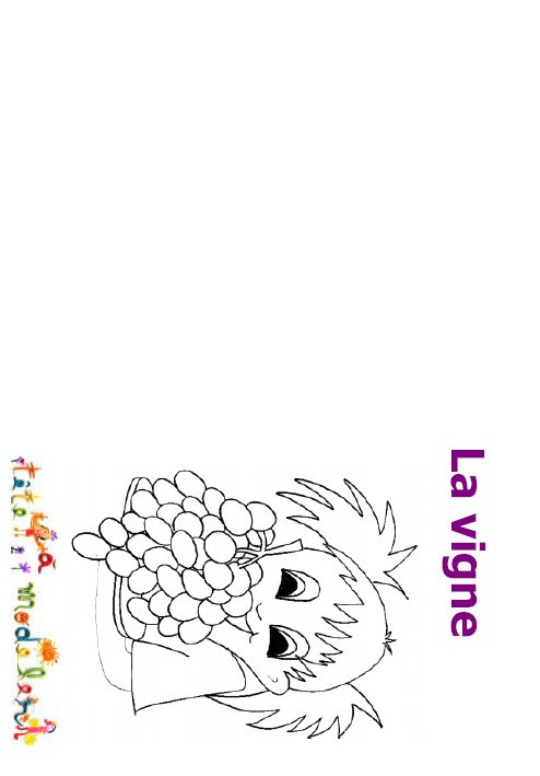 Mini livre sur la vigne page 2
