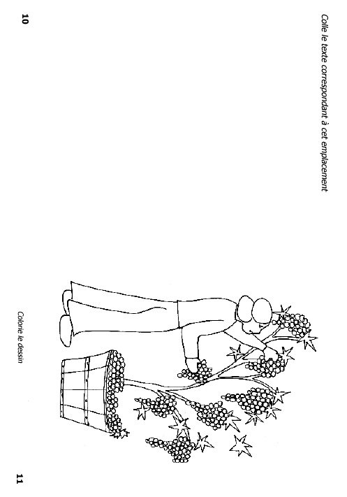 Mini livre sur la vigne page 5

