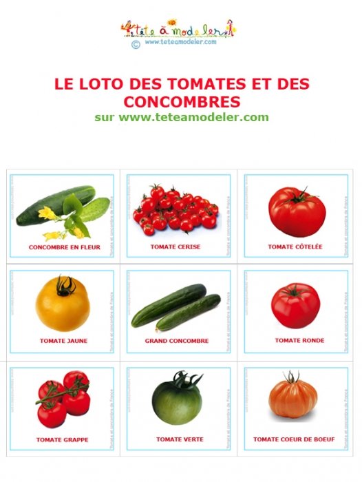 Planche des cartes jetons du loto tomate