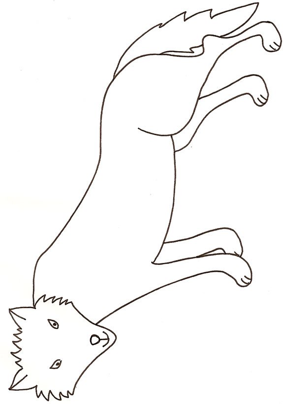 coloriage d'un loup 
