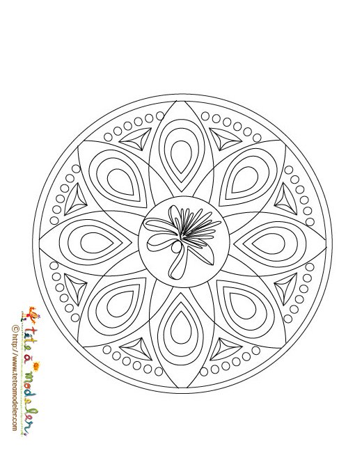 Coloriage mandala fleur du brésil