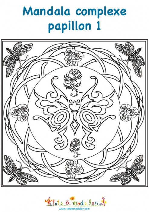 Mandala grand papillon complexe
