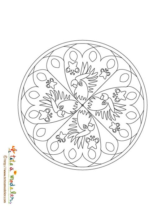 Coloriage mandala perroquet