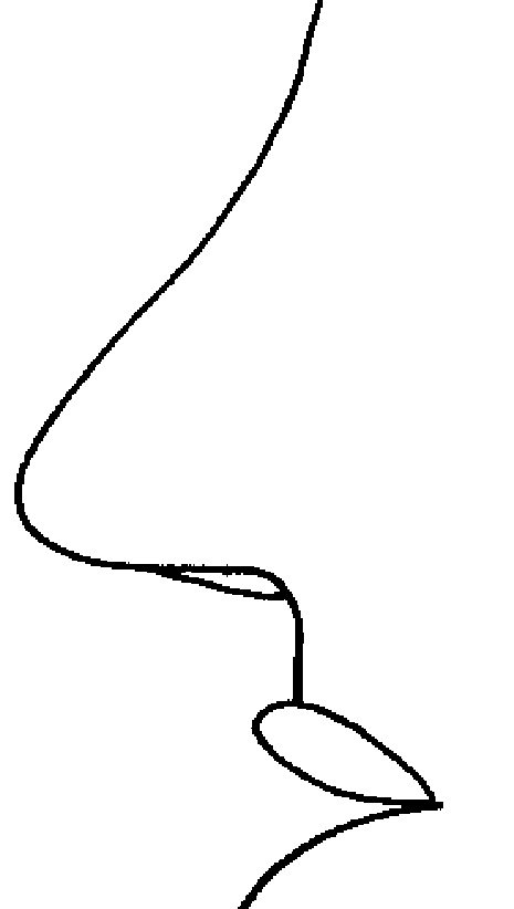 coloriage d'un nez
