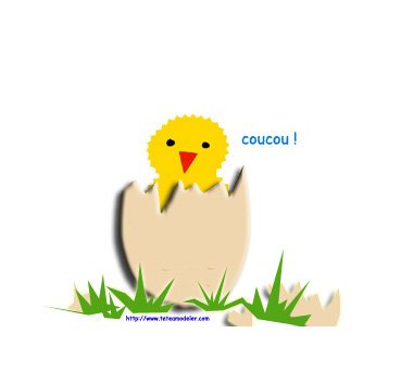 Image paque 14

