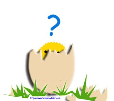 Image paque 15
