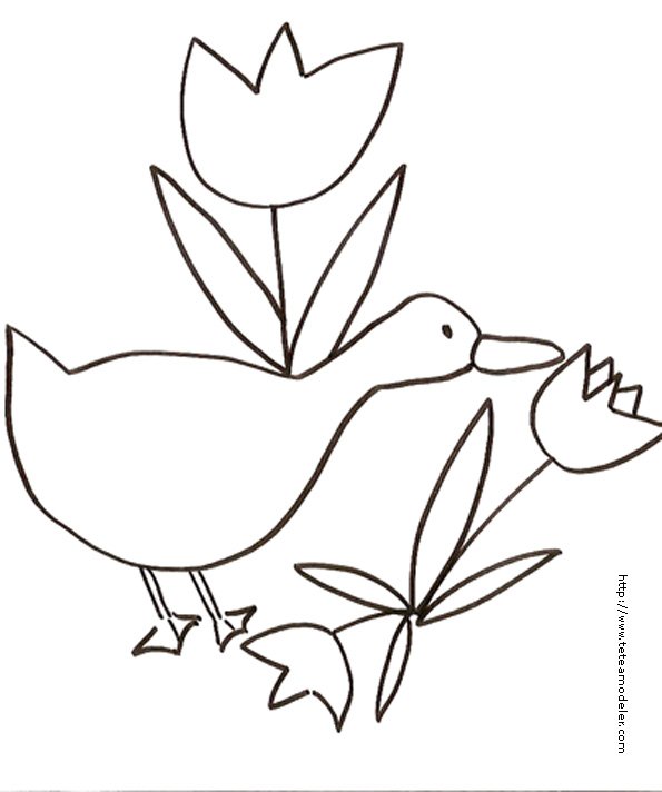 Coloriage des oies et 3 tulipes
