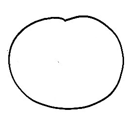 Imprimer le modèle d'oranges pour masque 