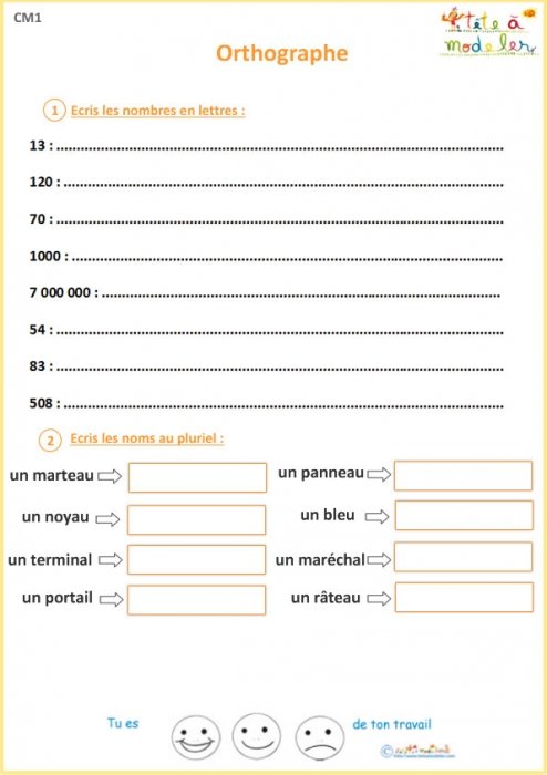 Exercice 1 orthographe CM1