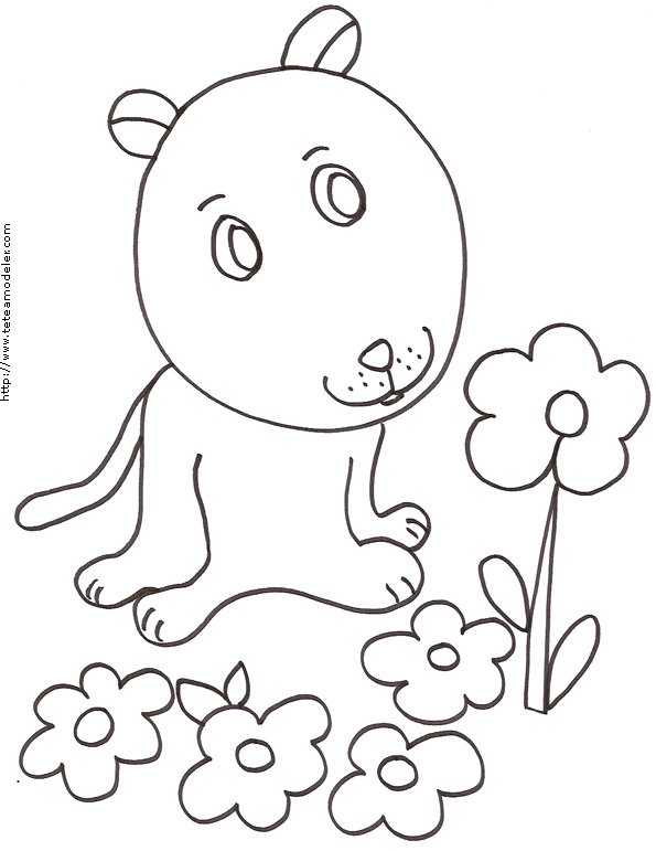 Coloriage du petit chien tout mignon assis dans les fleurs
