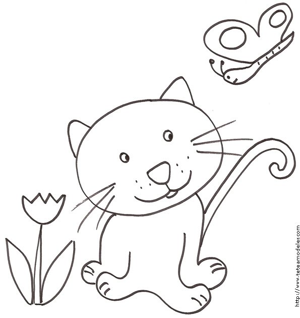 Coloriage du chat et du papillon
