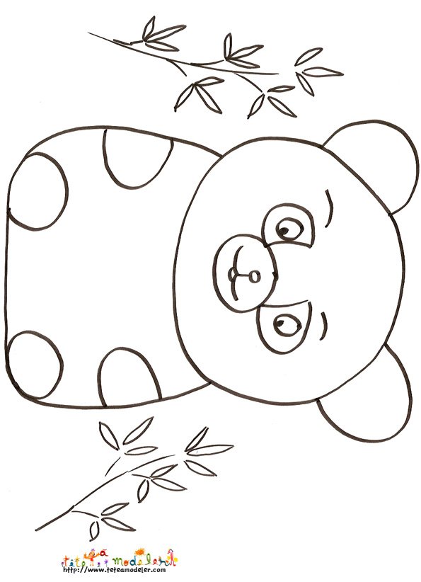 coloriage petit ours
