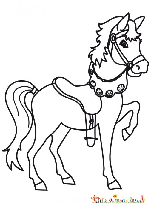 Coloriage d'un petit poney harnaché