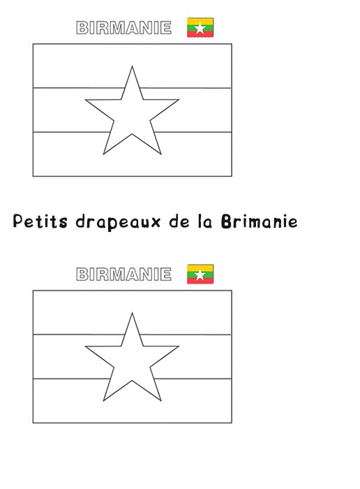 Mini drapeaux de la Birmanie