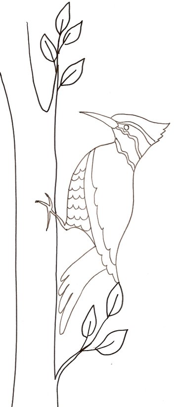 coloriage d'un pic 
