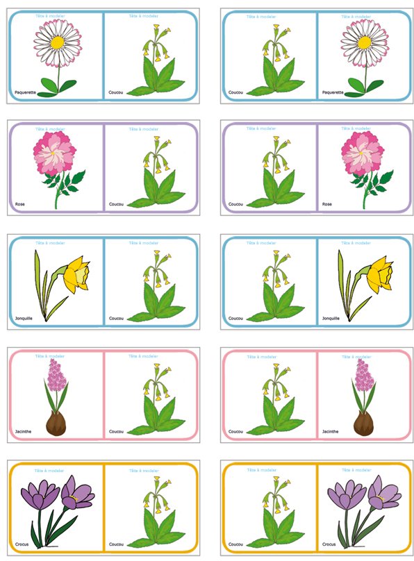 Planche Dominos des fleurs 14

