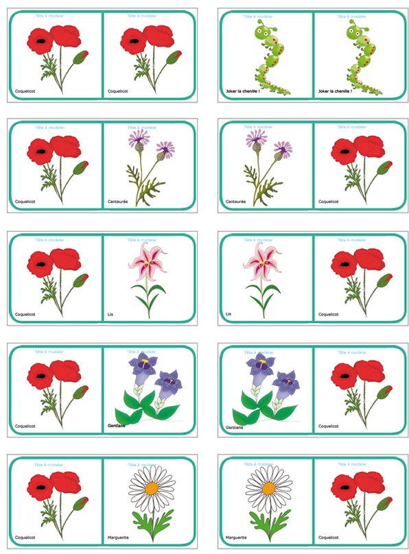 Dominos sur les fleurs 6
