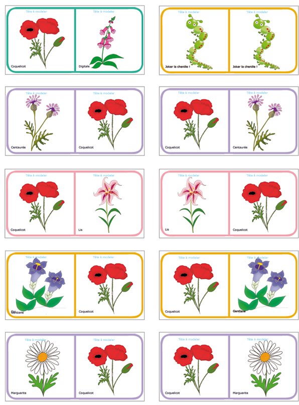 Dominos sur les fleurs 7
