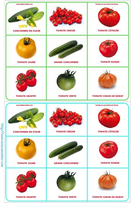 Planche 1 loto tomate