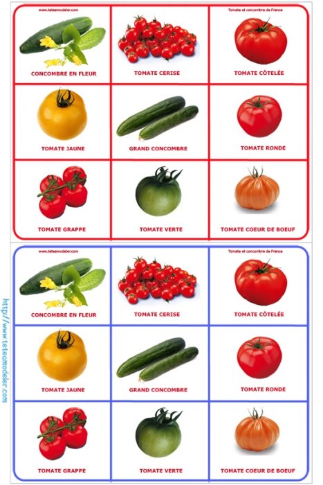 Planche 2 loto tomate
