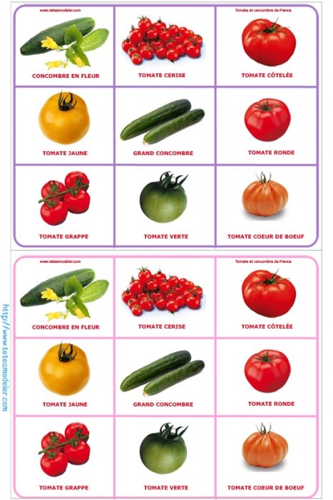Planche 3 loto tomate
