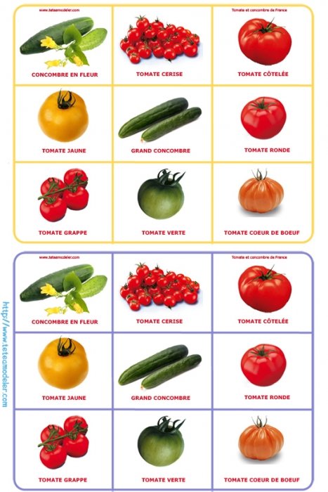 Loto tomate - Planche 4