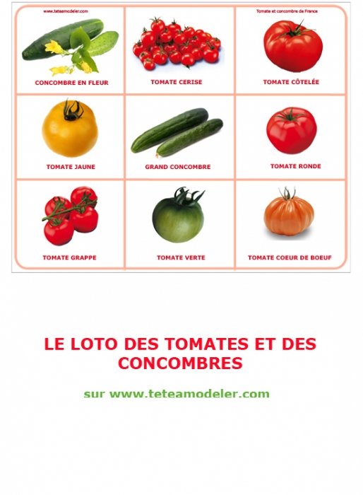 Planche 5 du loto de la tomate 