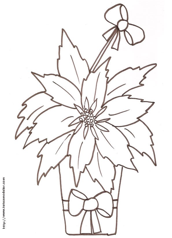 Coloriage d'un pot de poinsettia "l'&eacute;toile de No&euml;l"
