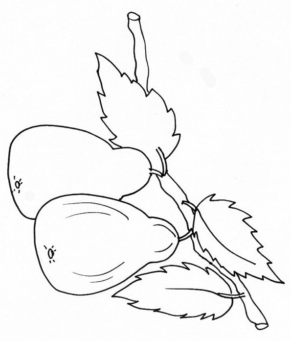 coloriage de deux poires sur la branche
