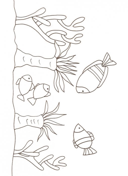 Coloriage de poissons et flore marine