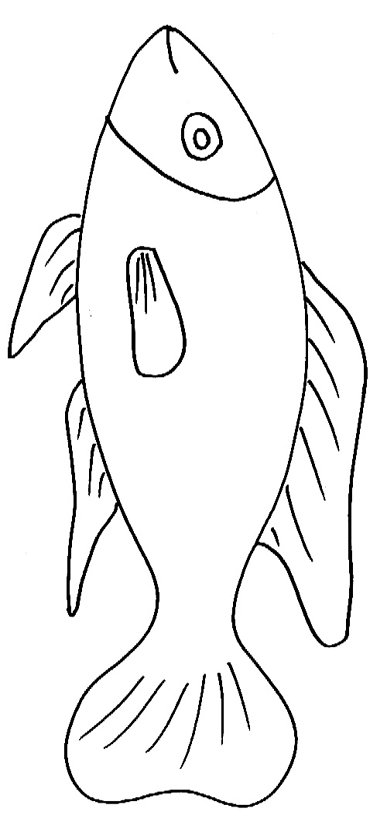 Coloriages poissons