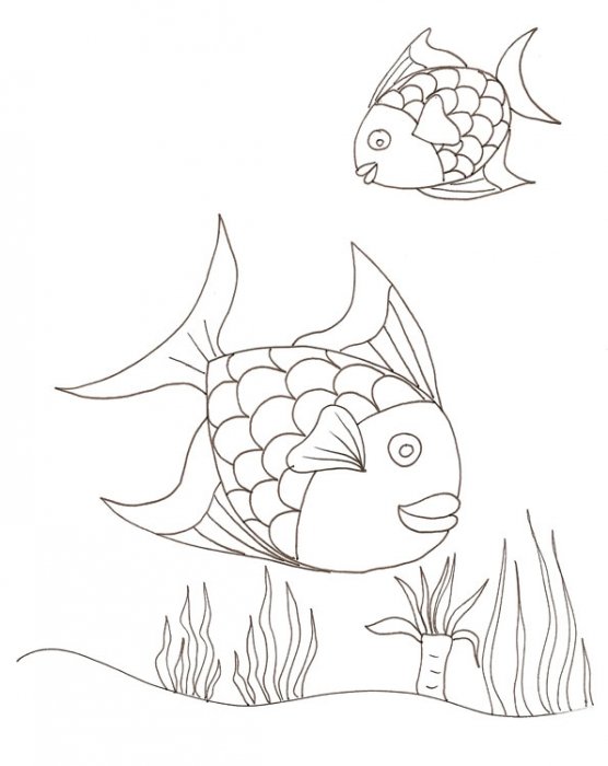 coloriage poissons arc en ciel 2