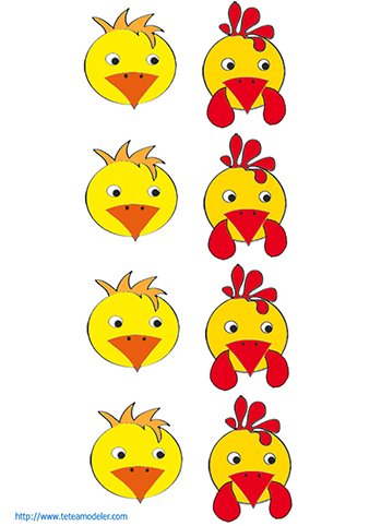 T&ecirc;tes de poussins et t&ecirc;tes de poules

